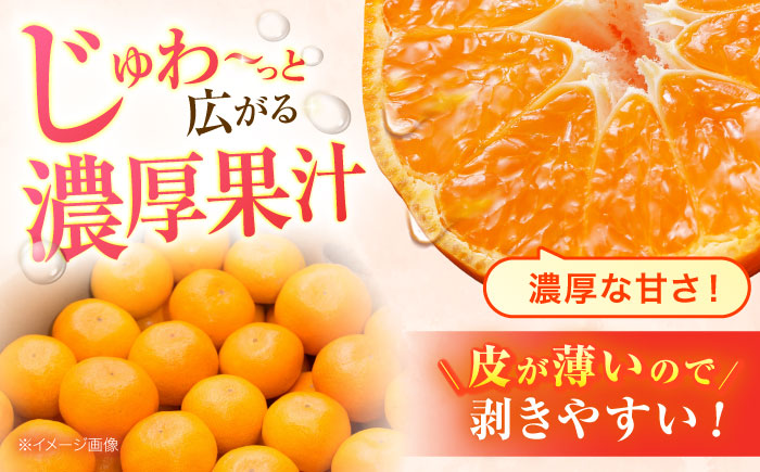 【2回定期便】※【2026年シーズン発送／先行予約】フルーツ定期便(シャインマスカット 約1.3kg(2～3房) / 温州みかん(10kg) 家庭用 / フルーツ定期便 果物定期便 シャインマスカット みかん / 諫早市 / 肥前グローカル株式会社 [AHDI012]