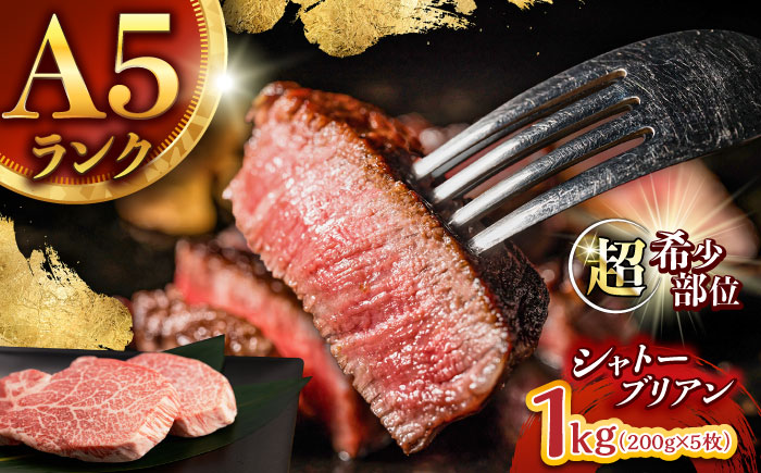 【唯一無二の贅沢！】長崎和牛 シャトーブリアン 1kg(200g×5) / ヒレ ひれ ヒレステーキ ステーキ すてーき しゃとーぶりあん / 諫早市 / 野中精肉店 [AHCW155]