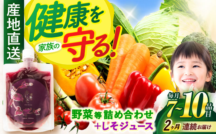 【2回定期便】野菜等詰め合わせセット(7〜10品目) / 野菜 果物 フルーツ くだもの きのこ しそ / 諫早市 / 松尾農園 [AHAY006]