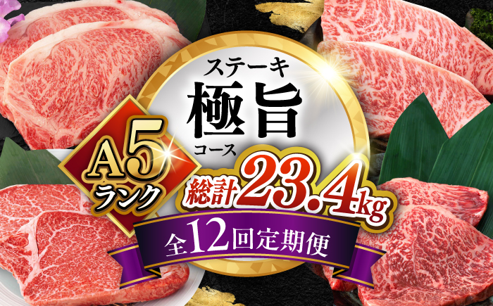 【12回定期便】長崎和牛  A5 ステーキ極旨コース 総計23.4kg / モモ リブロース イチボ サーロイン ランプ ヒレ レモンステーキ / 肉 牛肉 ステーキ 焼肉 / 諫早市 / 野中精肉店 [AHCW087]