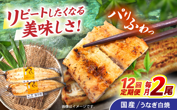 【12回定期便】【諫早淡水】うなぎ白焼き2尾  / うなぎ 白焼き 栄養価 小分け 冷凍 / 諫早市 / 諫早淡水 [AHAT047]