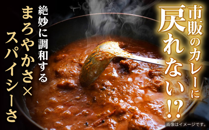 【12回定期便】 【肉のプロが贈る 究極のカレー】長崎和牛 カレー 約275g×4袋 / カレーライス かれー レトルト 牛 和牛 / 諫早市 / 野中精肉店 [AHCW100]