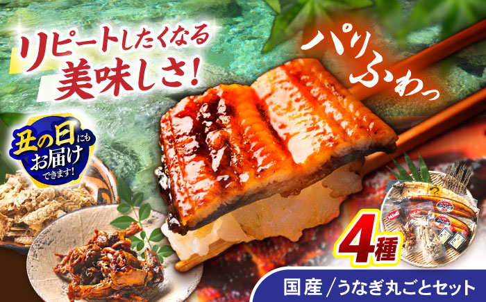 ＜諫早淡水＞うなぎまるごとセット / うなぎ ウナギ 鰻 蒲焼き 蒲焼 かばやき 白焼き 白焼 国産 冷凍 小分け うな重 うな丼 ひつまぶし / 諫早市 / 諫早淡水株式会社 [AHAT001] 丑の日 土用丑の日