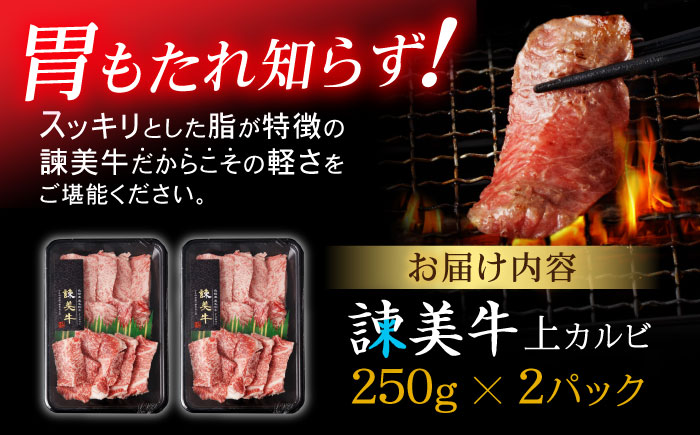 【特Aのブランド米で育てた】諫美牛 上カルビ 500g(250g×2) / 牛肉 ぎゅうにく 和牛 肉 焼肉 やきにく 国産 カルビ かるび / 諫早市 / 株式会社土井農場 [AHAD101]