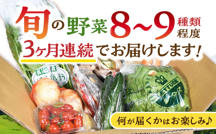 【3回定期便】諫早産野菜の詰め合わせ(8〜9品目程度) / 季節 旬 野菜 春野菜 夏野菜 秋野菜  / 諫早市 / 肥前グローカル株式会社 [AHDI001]