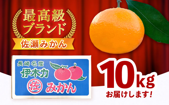 【食べる濃厚ジュース】佐瀬みかん 10kg / みかん ミカン 蜜柑 オレンジ 柑橘 フルーツ ふるーつ 果物 くだもの みかんジュース 甘い / 諫早市 / 一正 [AHFL002]