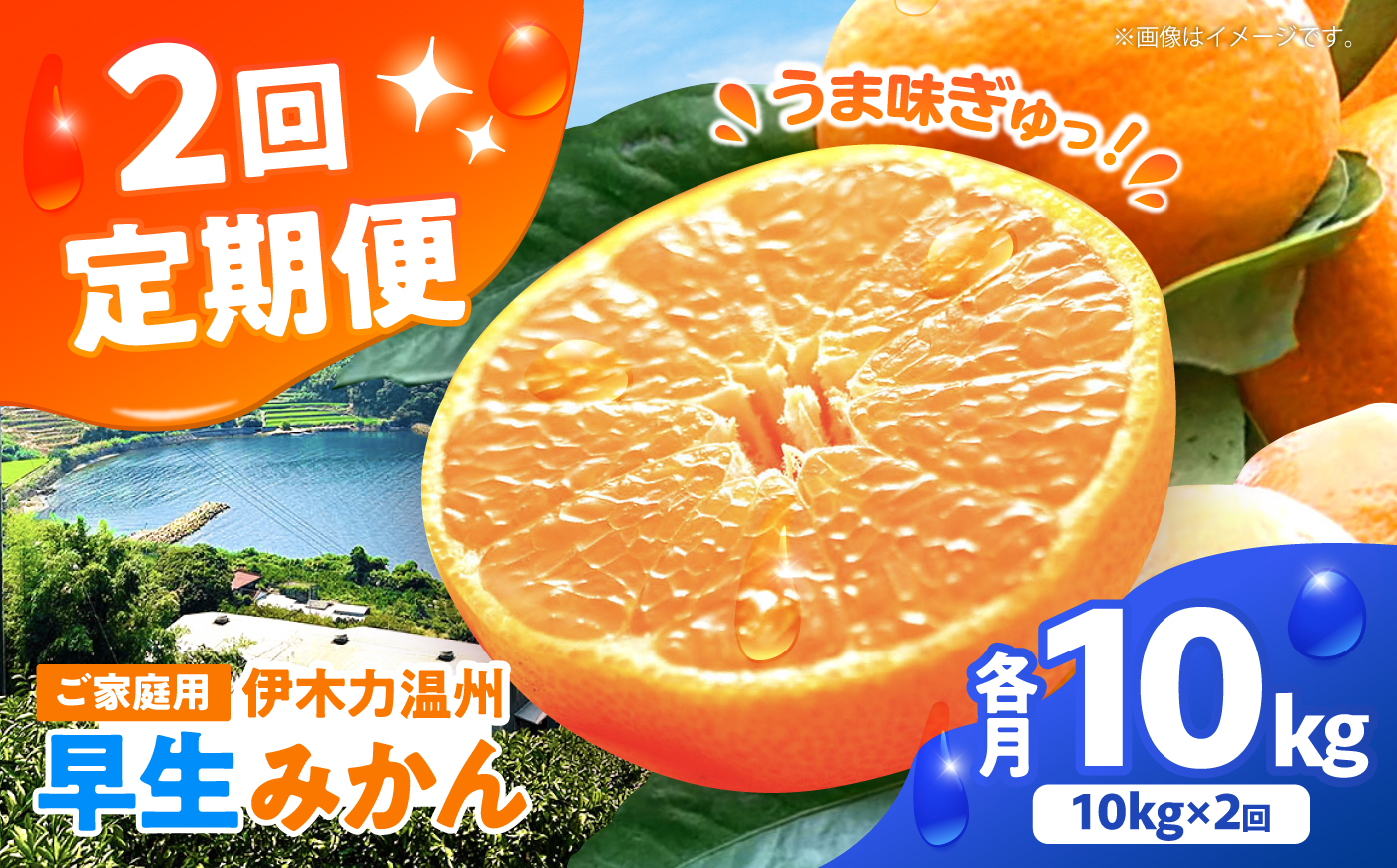 【2回定期便】伊木力温州みかん10kg (ご家庭用、箱入り) / 伊木力 温州みかん みかん ミカン 蜜柑 佐瀬 諫早 多良見 長崎 / 末永果樹園 [AHBD012]