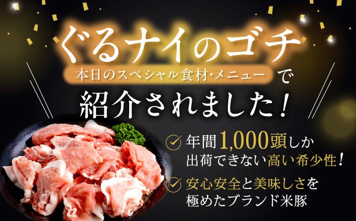 【12回定期便】諫早平野の米で育てた諫美豚プレミアム100お勧めセット3kg / 諫美豚 豚肉 肩ロース ステーキ モモ 切り落とし ハンバーグ ロースステーキ / 諫早市 / 株式会社土井農場 [AHAD033]