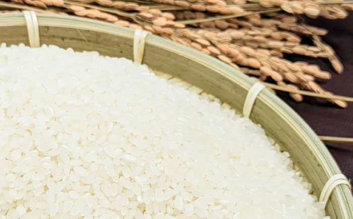 【12回定期便】 精白米(にこまる) 10kg 轟峡渓流米 / 米 白米 精白米 新米 / 轟名水ファーム高来 / 諫早市 [AHFF012]