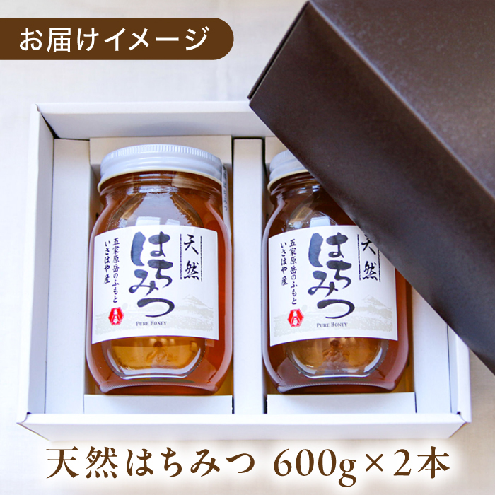 長崎県産天然はちみつ600g×2本セット / 百花蜜 百花蜂蜜 蜂蜜 はちみつ ハチミツ / 諫早市 / 坂口養蜂 [AHDB003]