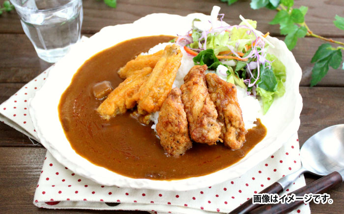 【小分け】【内袋のままレンジ調理可】日本ハム レストラン仕様カレー中辛10パックセット(1パック4袋入り)計40食分 / カレー かれー レトルト 牛肉 小分け 非常食 防災 備蓄 / 諫早市 / 日本ハムマーケティング株式会社 [AHAL003]