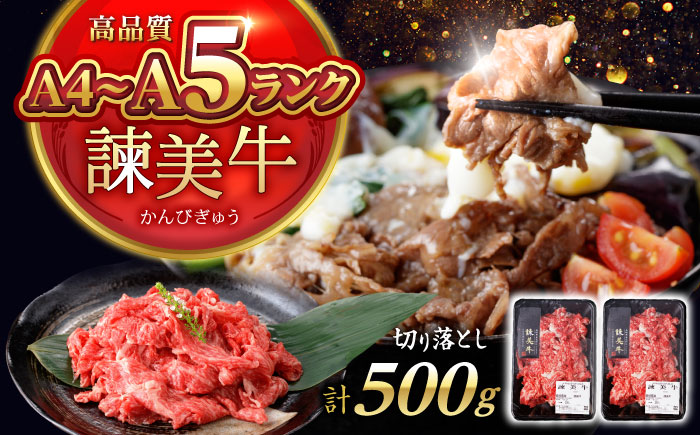 【特Aのブランド米で育てた】諫美牛 切り落とし 500g(250g×2) / 牛肉 ぎゅうにく 和牛 牛 肉 国産 切り落とし 切り落し 切りおとし / 諫早市 / 株式会社土井農場 [AHAD090]