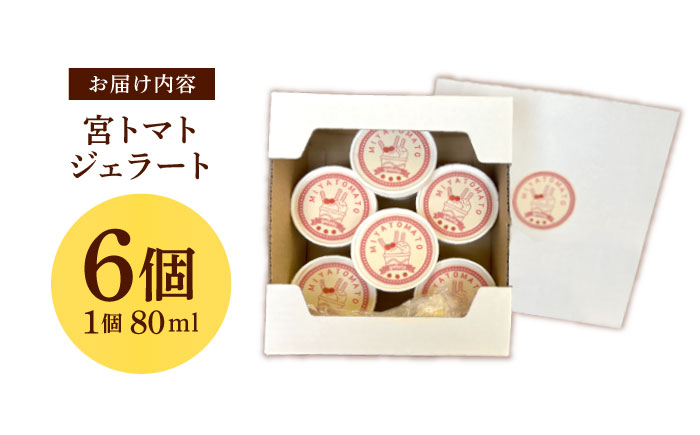 宮トマトジェラート 80ml×6個 / ジェラート トマト とまと アイス　アイスクリーム スイーツ / 諫早市 / 宮下農園 [AHCG032]
