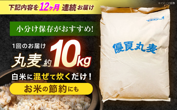 【全12回定期便】 長崎県産 丸麦 10kg / 麦 むぎ 雑穀 雑穀米 麦ごはん 麦飯 麦みそ 食物繊維 長崎県産 米 こめ コメ ※ / 諫早市 / 有限会社伊東精麦 [AHBU008]