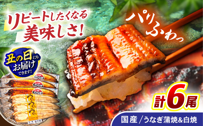 ＜諫早淡水＞うなぎ蒲焼3尾＆白焼き3尾セット / うなぎ ウナギ 鰻 蒲焼き 蒲焼 白焼き 白焼 国産 冷凍 小分け うな重 うな丼 ひつまぶし / 諫早市 / 諫早淡水株式会社 [AHAT006] 丑の日 土用丑の日