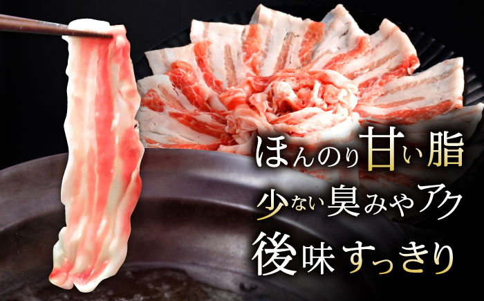 【6回定期便】諫美豚 バラ肉 しゃぶしゃぶ用 計4.8kg / 小分け 豚肉 ぶたにく バラ ばら 豚バラ しゃぶしゃぶ / 諫早市 / 株式会社土井農場 [AHAD104]
