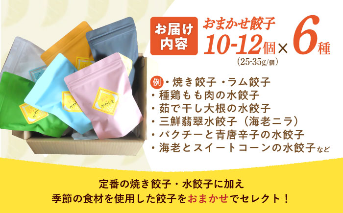 餃子 6種おまかせ便 / ギョウザ ぎょうざ 餃子 焼餃子 水餃子 冷凍 / 諫早市 / 餃子のかわしも [AHBM005]