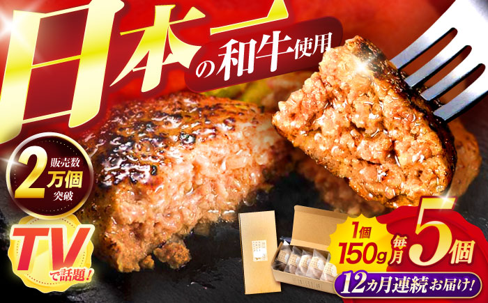 【12回定期便】ながさきふわとろハンバーグ　150g×5個入 / ハンバーグ はんばーぐ　肉 牛肉 豚肉 おかず 惣菜 定期便 / 諫早市 / ワールド・ミート有限会社 [AHBG008]