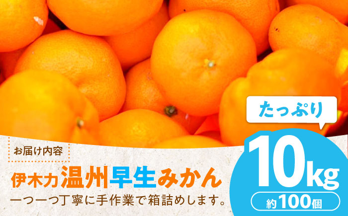 伊木力温州早生みかん10kg(ご家庭用、箱入り) / みかん 温州みかん 柑橘 蜜柑 ミカン 果物 / 諫早市 / 末永果樹園 [AHBD002]