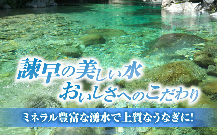 【最速発送】＜諫早淡水＞特大うなぎ蒲焼2尾 / うなぎ ウナギ 鰻 特大 蒲焼き 蒲焼 国産 冷凍 うな重 うな丼 ひつまぶし / 諫早市 / 活うなぎ問屋 諫早淡水 [AHAT014] スピード 最短 最速 発送