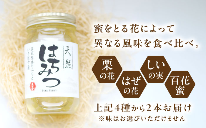 長崎県産天然はちみつ600g×2本セット / 百花蜜 百花蜂蜜 蜂蜜 はちみつ ハチミツ / 諫早市 / 坂口養蜂 [AHDB003]