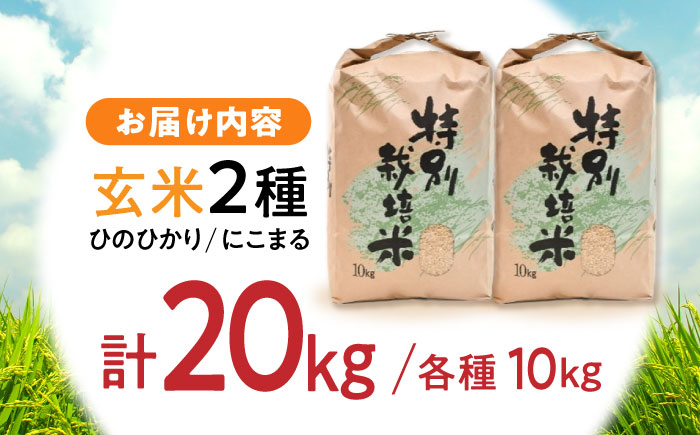 【R6年新米】11月より順次発送【特別栽培米】九州のこだわり玄米食べ比べ(10kg×2) / にこまる ひのひかり 食べ比べ 玄米 新米 しんまい / 諫早市 / 上島農産 [AHAS006]