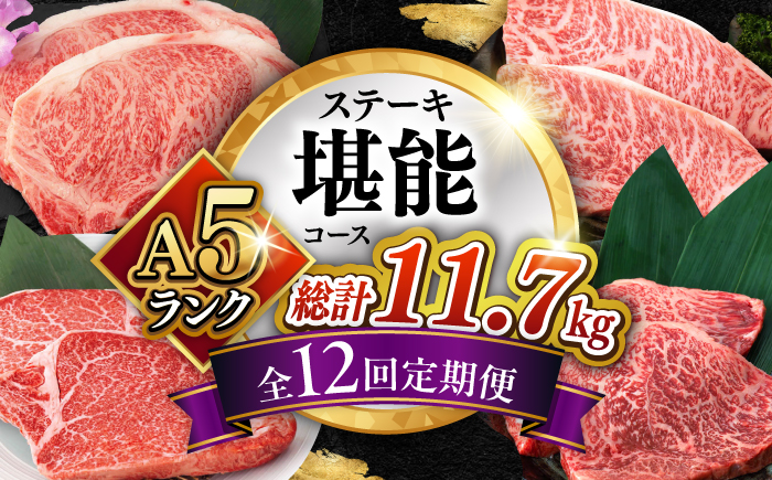 【12回定期便】長崎和牛  A5 ステーキ堪能コース 総計11.7kg / モモ リブロース イチボ サーロイン ランプ ヒレ レモンステーキ / 肉 牛肉 ステーキ 焼肉 / 諫早市 / 野中精肉店 [AHCW086]