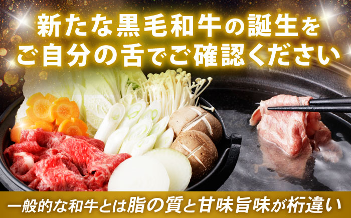 【特Aのブランド米で育てた】諫美牛 しゃぶしゃぶ・すき焼き用 500g(250g×2) / 牛肉 ぎゅうにく 和牛 牛 肉 国産 しゃぶしゃぶ すき焼き / 諫早市 / 株式会社土井農場 [AHAD092]