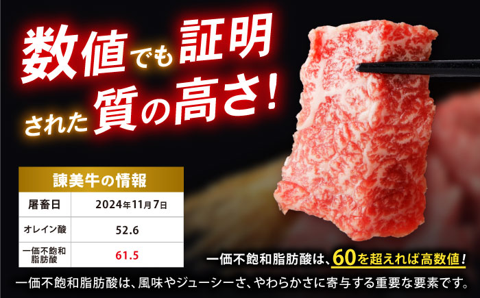 【特Aのブランド米で育てた】諫美牛 上カルビ 500g(250g×2) / 牛肉 ぎゅうにく 和牛 肉 焼肉 やきにく 国産 カルビ かるび / 諫早市 / 株式会社土井農場 [AHAD101]