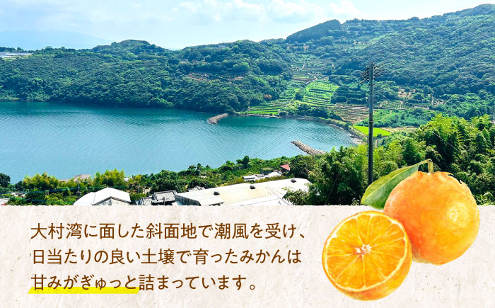 ※【2026年(令和8年)1月発送分／先行予約】伊木力温州みかん 10kg（ご家庭用）/ みかん ミカン 蜜柑 フルーツ 果物 / 諫早市 / 末永果樹園 [AHBD001]