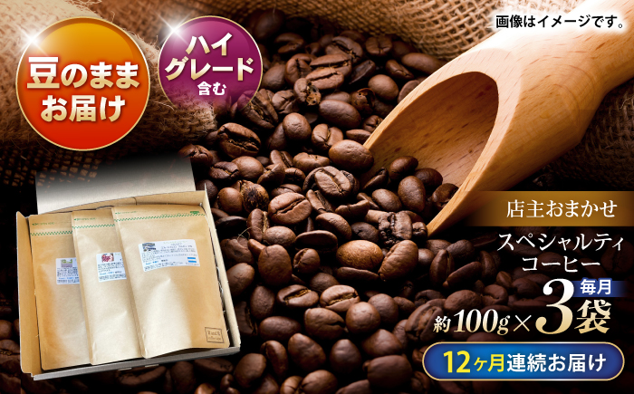 【12回定期便】自家焙煎ハイグレードコーヒーを含むおまかせセット(豆のまま) / ハイグレードコーヒー ブレンド コーヒー 豆 / 諫早市 / R and R coffee labo [AHCJ048]