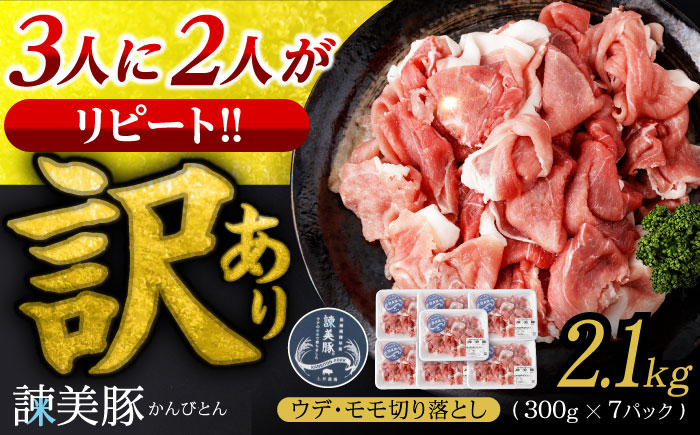 【訳あり】諫美豚切り落とし 2.1kg / 諫美豚 豚肉 切り落とし 肉 ウデ モモ / 諫早市 / 株式会社土井農場 [AHAD063]