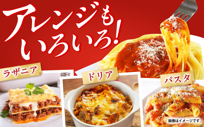 【小分け】日本ハム レストラン仕様ボロネーゼ10パックセット(1パック4袋入り)計40食分/ ボロネーゼ ぼろねーぜ ミートソース 麺 レトルト 牛肉 小分け / 諫早市 / AHAL001日本ハムマーケティング株式会社 [AHAL001]