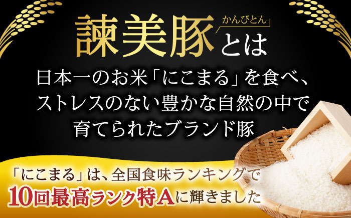 諫美豚バラエティセット計3kg / ロースステーキ モモ 肩ロース 切り落とし ハンバーグ / 豚 豚肉 ロース ステーキ 切り落とし 小分け / 諫早市 / 株式会社土井農場 [AHAD050]