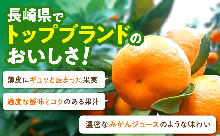※【2025年(令和7年)12月発送分／先行予約】伊木力温州早生みかん5kg(ご家庭用、箱入り) / 伊木力 温州みかん みかん ミカン 蜜柑 佐瀬 諫早 多良見 長崎 早生　/ 末永果樹園 [AHBD004]