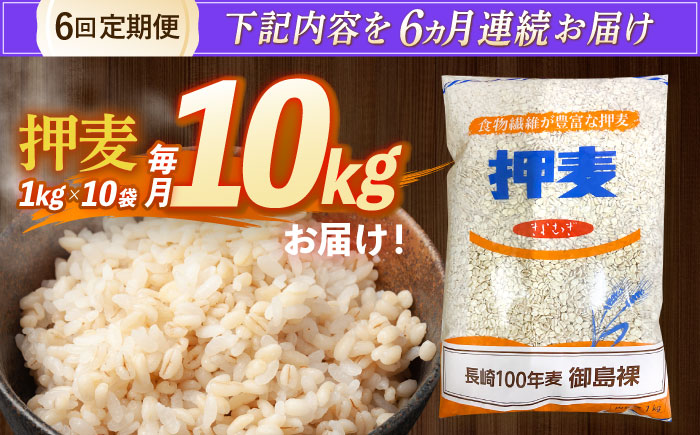 【全6回定期便】 押麦「長崎100年麦 御島裸」1kg×10袋 計10kg / 麦 むぎ 押麦 はだか麦 麦味噌 雑穀 雑穀米 食物繊維 小分け / 諫早市 / 有限会社伊東精麦 [AHBU011]