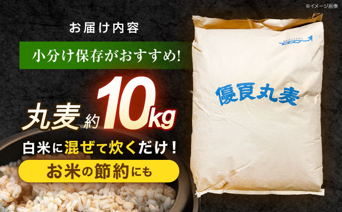 【年内配送】長崎県産 丸麦 10kg / 麦 むぎ 雑穀 雑穀米 麦ごはん 麦飯 麦みそ 食物繊維 長崎県産 米 こめ コメ ※ / 諫早市 / 有限会社伊東精麦 [AHBU005]