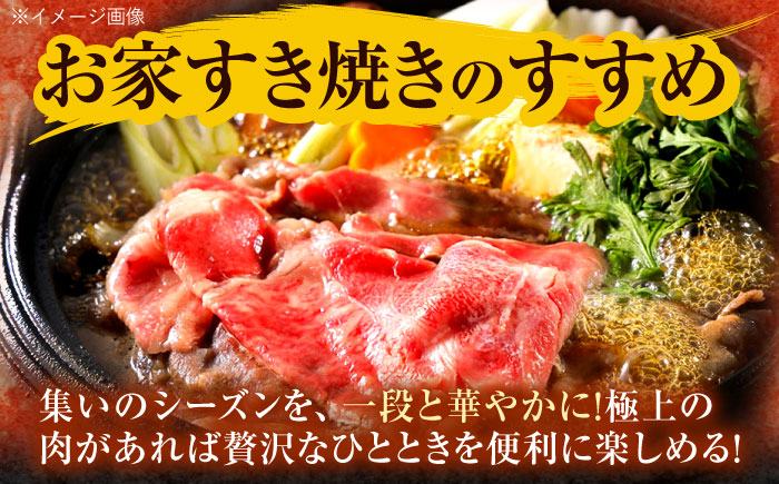 長崎和牛 ローススライス 600g / 牛肉 ぎゅうにく 肉 和牛 国産牛 すき焼き しゃぶしゃぶ / 諫早市 / 西日本フード株式会社 [AHAV010]