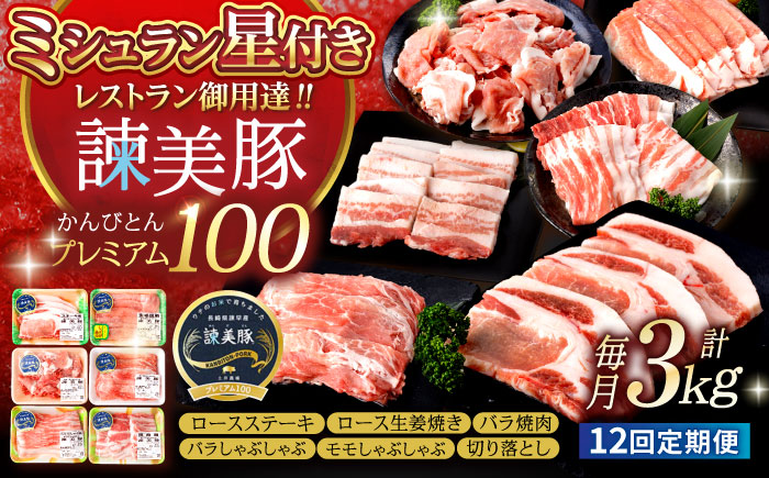 【12回定期便】諫早平野の米で育てた諫美豚プレミアム100お勧めセット3kg / 諫美豚 豚肉 肩ロース ステーキ モモ 切り落とし ハンバーグ ロースステーキ / 諫早市 / 株式会社土井農場 [AHAD033]