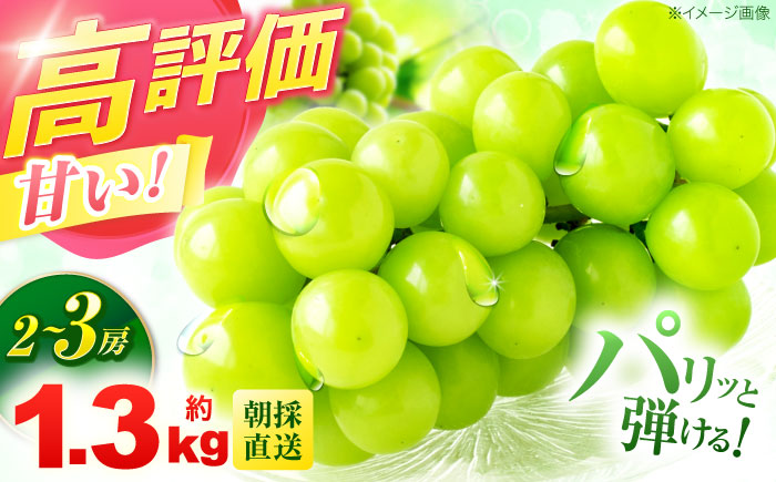 ※【2026年9月より順次発送／先行予約】【ご家庭用】シャインマスカット 約1.3kg(2〜3房) / フルーツ 果物 ぶどう マスカット しゃいんますかっと / 諫早市 / 肥前グローカル株式会社 [AHDI007]