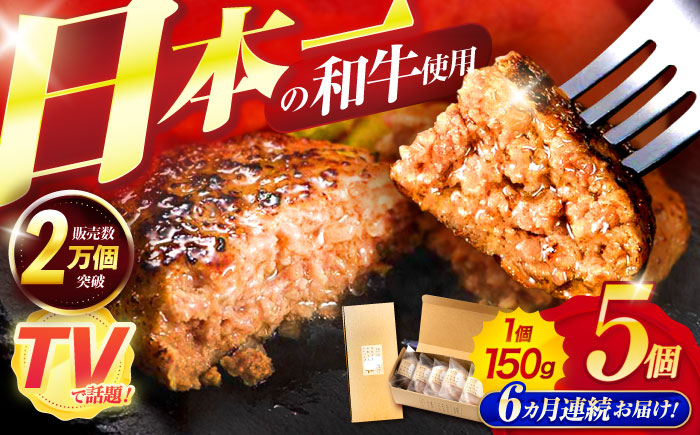 【6回定期便】ながさきふわとろハンバーグ　150g×5個入 / ハンバーグ はんばーぐ　肉 牛肉 豚肉 おかず 惣菜 定期便 / 諫早市 / ワールド・ミート有限会社 [AHBG007]