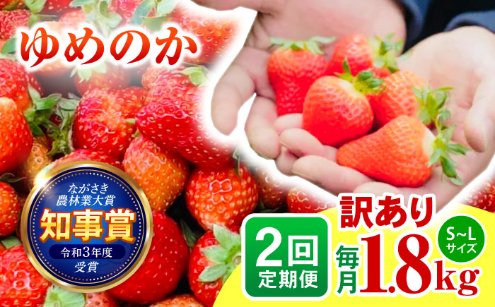 【2回定期便】訳あり いちご「ゆめのか」 S-Lサイズ 1.8kg / 訳あり 訳あり商品 訳あり果物 果物訳あり いちご イチゴ 苺 イチゴジャム / 諫早市 / むらたサービス [AHFA004]