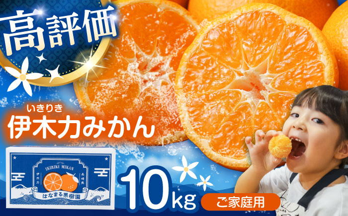 【諫早市市制施行20周年特別企画】伊木力みかん (家庭用) 10kg / みかん ミカン 蜜柑 オレンジ フルーツ 果物 / 諫早市 / 山野果樹園 [AHCF001]