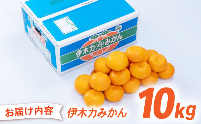 フルーツソムリエが選んだ伊木力みかん10kg / 伊木力みかん みかん 蜜柑 ミカン 柑橘 / 諫早市 / 南国フルーツ [AHCO003]