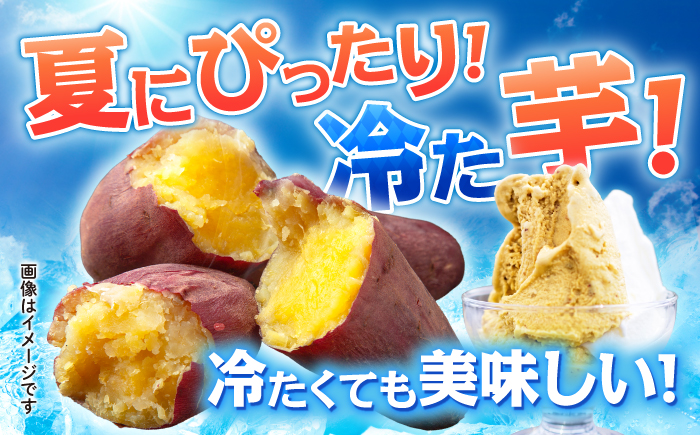 蜜だらけ！蜜しかない！ねっとり冷凍壺焼き芋 約3kg / 焼き芋 焼芋 やきいも さつまいも / 諫早市 / 松尾農園 [AHAY003]