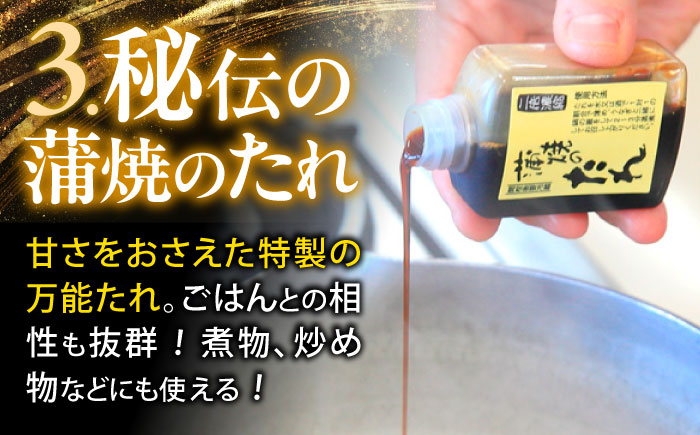 ＜諫早淡水＞うなぎ蒲焼3尾＆白焼き3尾セット / うなぎ ウナギ 鰻 蒲焼き 蒲焼 白焼き 白焼 国産 冷凍 小分け うな重 うな丼 ひつまぶし / 諫早市 / 諫早淡水株式会社 [AHAT006]