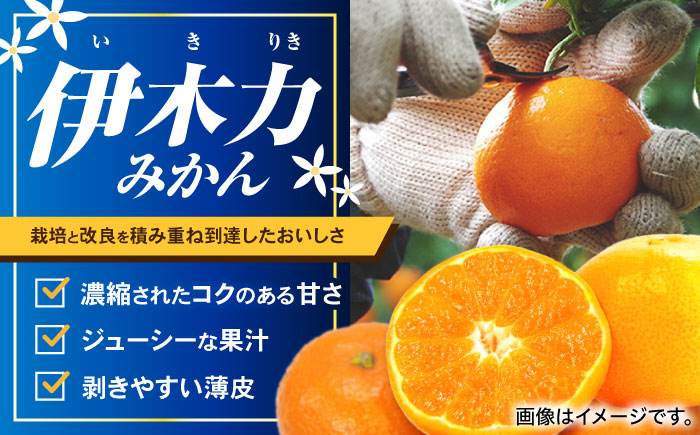 ※【2026年10月下旬より順次発送／先行予約】伊木力みかん(家庭用) 5kg / みかん ミカン 蜜柑 オレンジ フルーツ 果物 / 諫早市 / 山野果樹園 [AHCF002R]