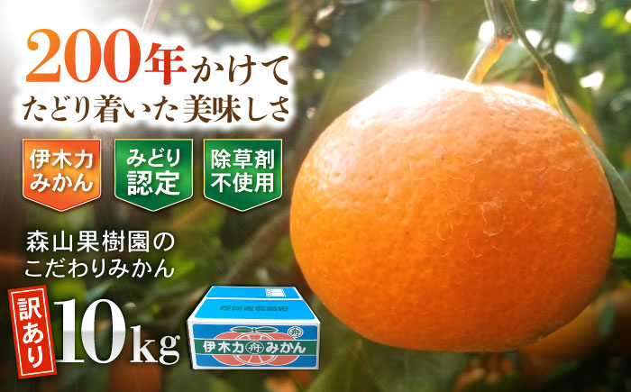【訳あり】伊木力産　森山果樹園のこだわりみかん 10kg / みかん ミカン 柑橘 伊木力みかん 温州みかん / 諫早市 / 森山果樹園 [AHCO009]