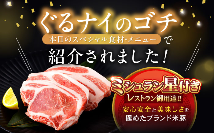 黒豚諫美豚プレミアム100 ロースステーキ 450g（150g×3枚） / 豚肉 ぶたにく ステーキ すてーき ロース ろーす テキカツ 焼肉 生姜焼き / 諫早市 / 株式会社土井農場 [AHAD085]