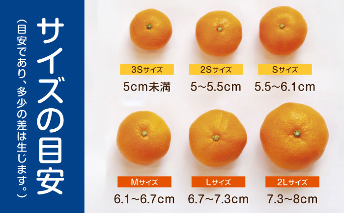 ※【2026年10月下旬より順次発送／先行予約】伊木力みかん(家庭用) 5kg / みかん ミカン 蜜柑 オレンジ フルーツ 果物 / 諫早市 / 山野果樹園 [AHCF002R]